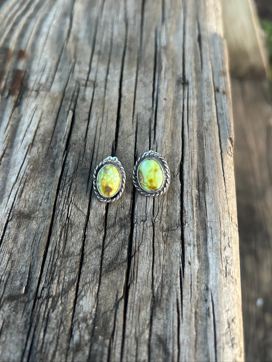 Palomino rope border studs