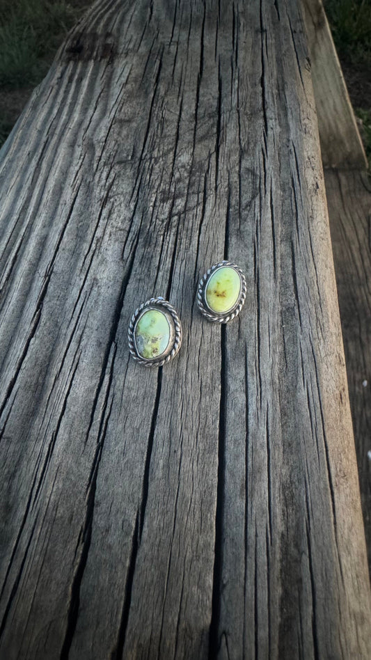 Palomino Rope Border Studs