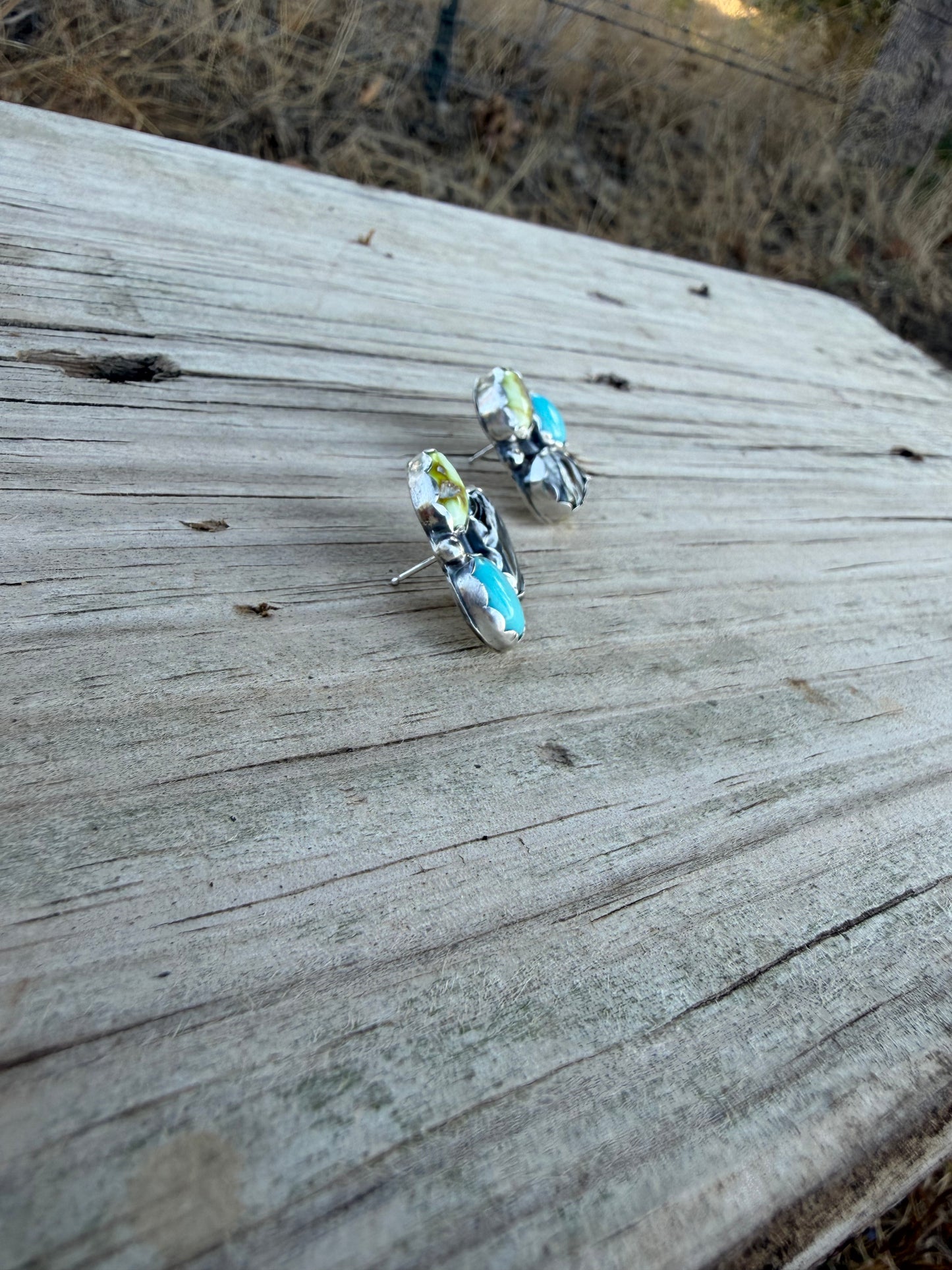 Palomino, Kingman, and White buffalo studs