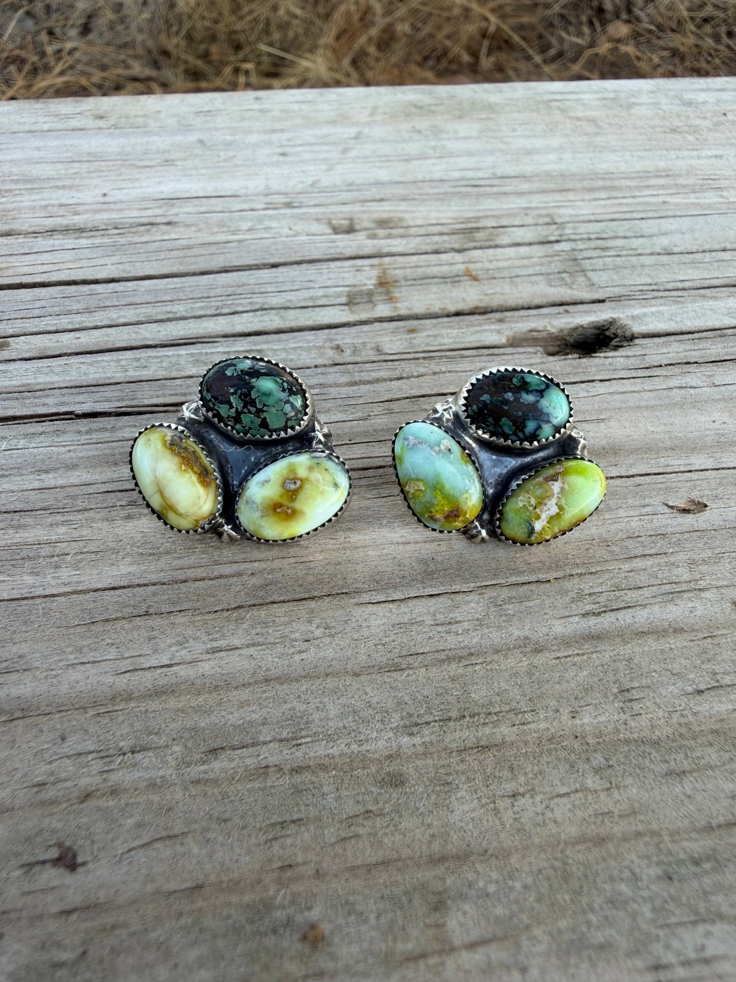 Newlander and Palomino Studs