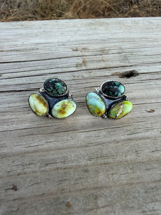 Newlander and Palomino Studs