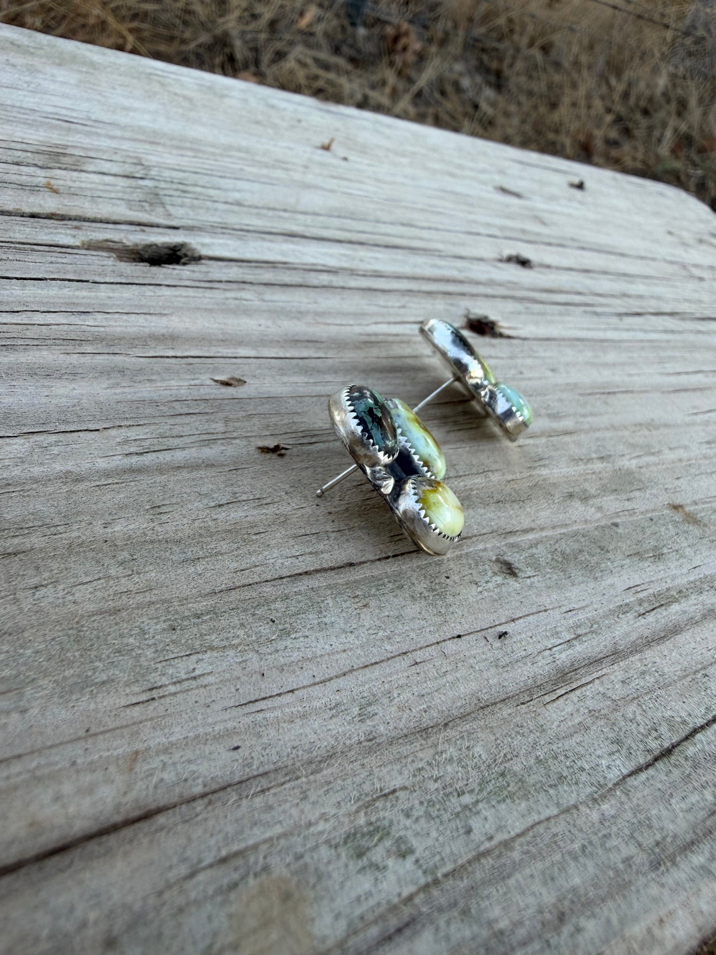 Newlander and Palomino Studs
