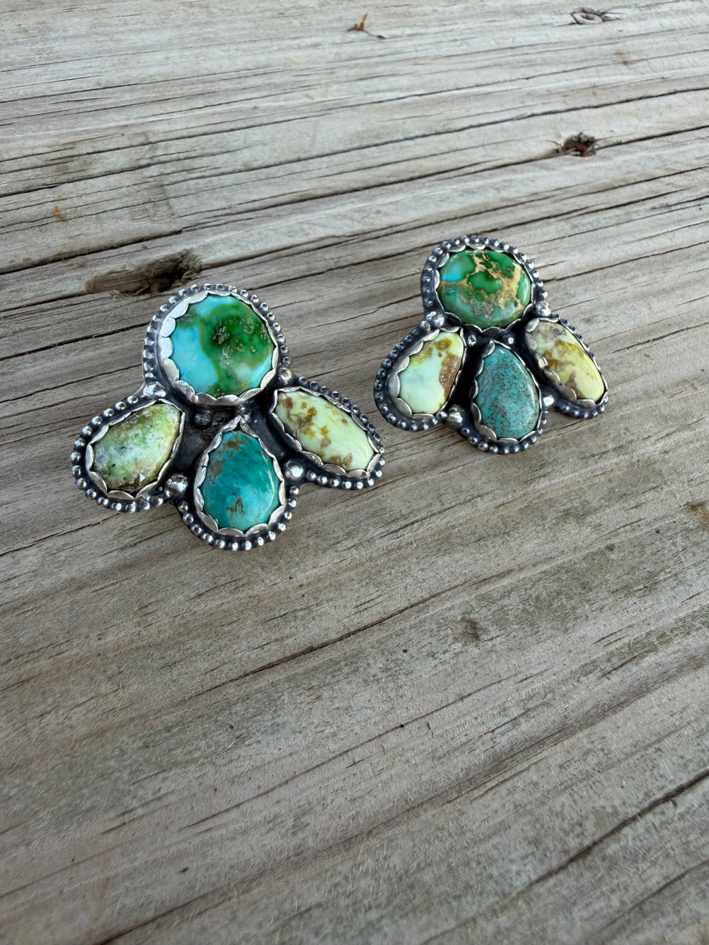 Sonoran Gold,Sonoran, and Palomino Studs.